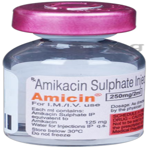 Amicin 250mg